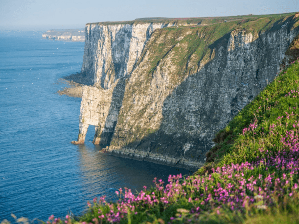 Flamborough Head cliffs coastal landscape North Yorkshire